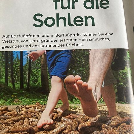 Villa Pusteblume Bad Grund Bagian luar foto
