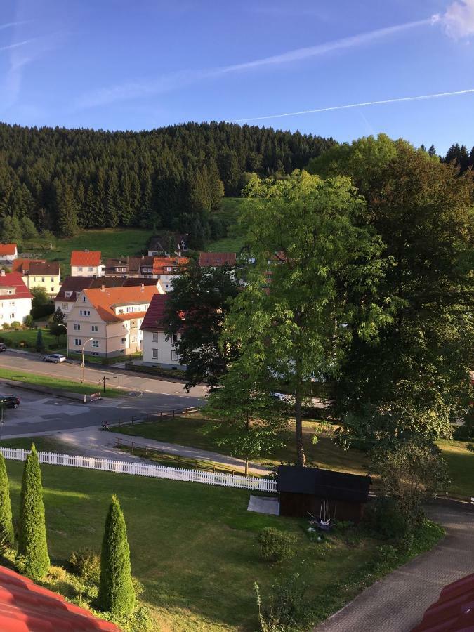 Villa Pusteblume Bad Grund Bagian luar foto