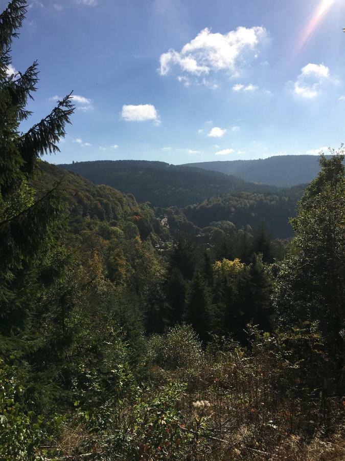 Villa Pusteblume Bad Grund Bagian luar foto