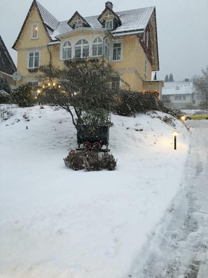 Villa Pusteblume Bad Grund Bagian luar foto